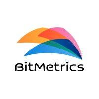 bitmetrics logo image