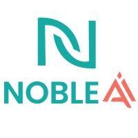 noble ai.net logo image