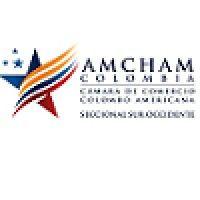 amcham sur occidente logo image