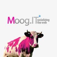 moog.it tel-aviv - digital marketing agency logo image