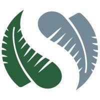 silver fern healthcare logo image