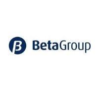 beta group ltd logo image