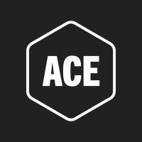 ace ventures logo image