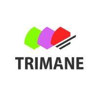 trimane | expert bi et big data logo image