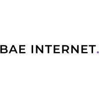 bae internet - your digital product partner logo image