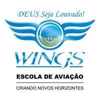 wings aviation school logo image