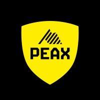 peax ag logo image