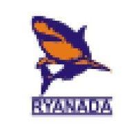 ryanada limited logo image