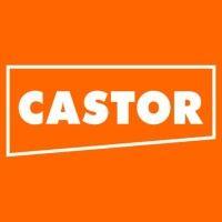 interforest s.a.c - castor logo image