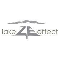 lake effect slc logo image