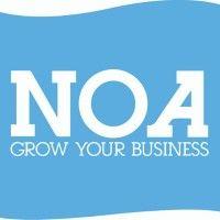 noa ltd logo image