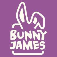 bunny james boxes logo image