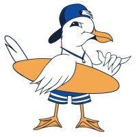 stoked seagull logo image