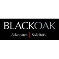 blackoak llc logo image