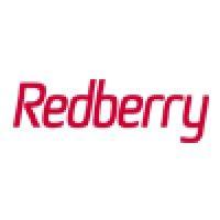 redberry digital ltd logo image