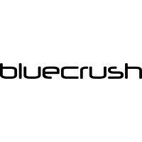 blue crush digital services logo image