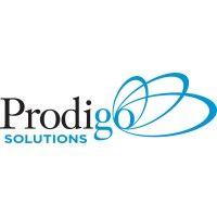 prodigo solutions, inc. logo image