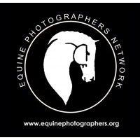 equine photographers network logo image