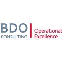 bdo operational excellence logo image