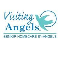 visiting angels logo image