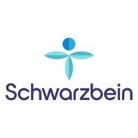 the schwarzbein institute logo image