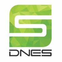 dnes - da nang business incubator logo image