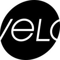 the velo group logo image