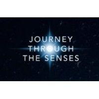 journey through the senses