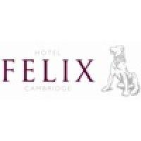 hotel felix logo image