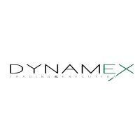 dynamex trading llc logo image