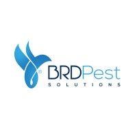 brd pest solutions logo image