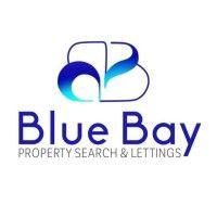 blue bay logo image