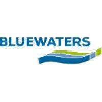 bluewaters environmental consultants logo image