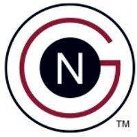 the nicholls group logo image