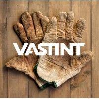 vastint logo image