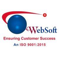 websoft it services private limited logo image