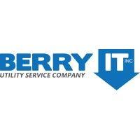 berry-it inc logo image