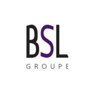 bsl group international logo image