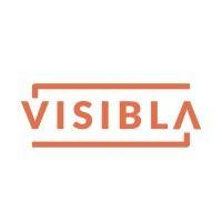 visibla logo image