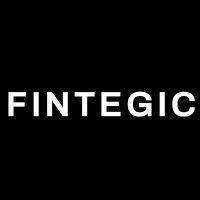 fintegic pakistan logo image