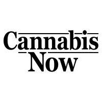 cannabis now logo image