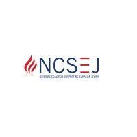 ncsej: national coalition supporting eurasian jewry logo image