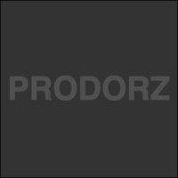 prodorz limited logo image