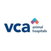 vca burton animal hospital