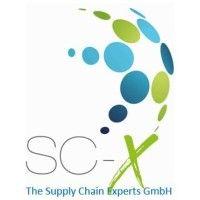 the supply chain experts gmbh logo image