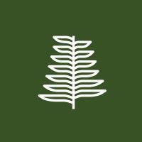 jackfir logo image