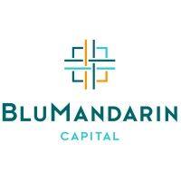 blumandarin capital ltd logo image