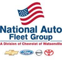 national auto fleet group logo image