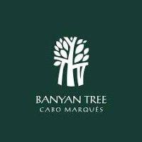 banyan tree cabo marqués