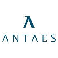 antaes consulting logo image